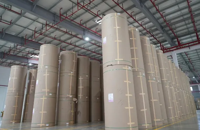 Global Paper Industry: Current Landscape and Emerging Frontiers
