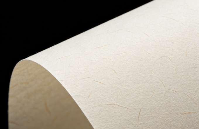 Wood-Free Paper: A Comprehensive Guide to Quality and Sustainability Wood-Free Paper: A Comprehensive Guide to Quality and Sustainability