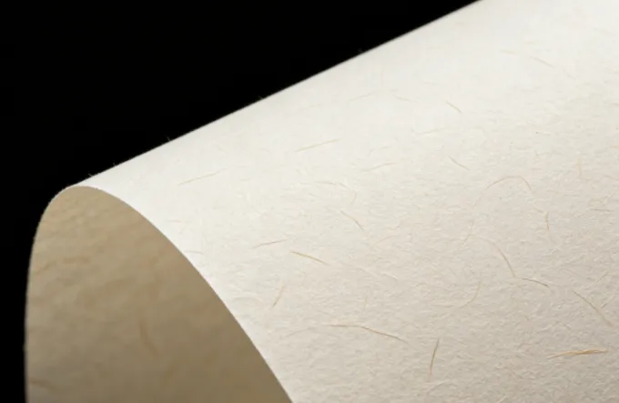 Wood-Free Paper: A Comprehensive Guide to Quality and Sustainability